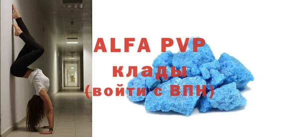 ECSTASY Алзамай