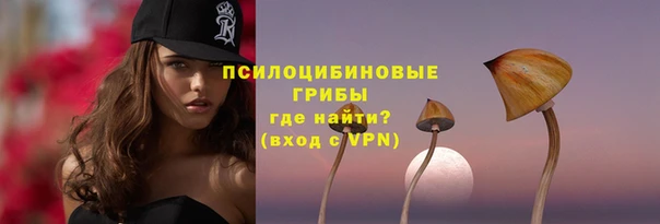 ECSTASY Алзамай