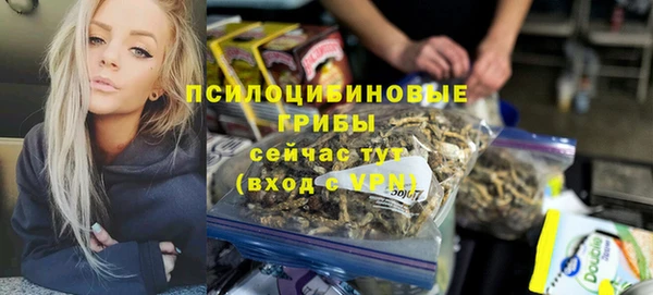 бошки Абаза