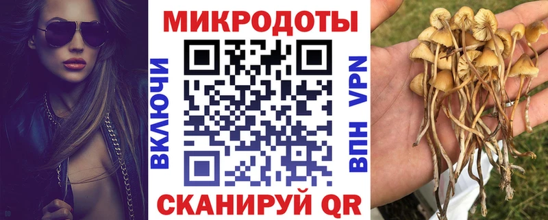 Галлюциногенные грибы Cubensis  Курчатов 