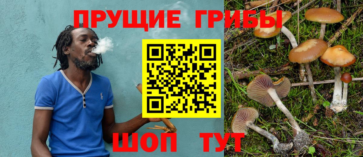 Галлюциногенные грибы Magic Shrooms  Вход с VPN  Курчатов 